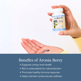 Caja ECLECTIC INSTITUTE con cápsulas de aronia para una dieta equilibrada