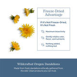 Eclectic Institute Eclectic Herb proceso de freeze-drying preservando nutrientes