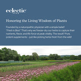 Eclectic Institute Proceso de liofilización conserva minerales y energía vegetal.