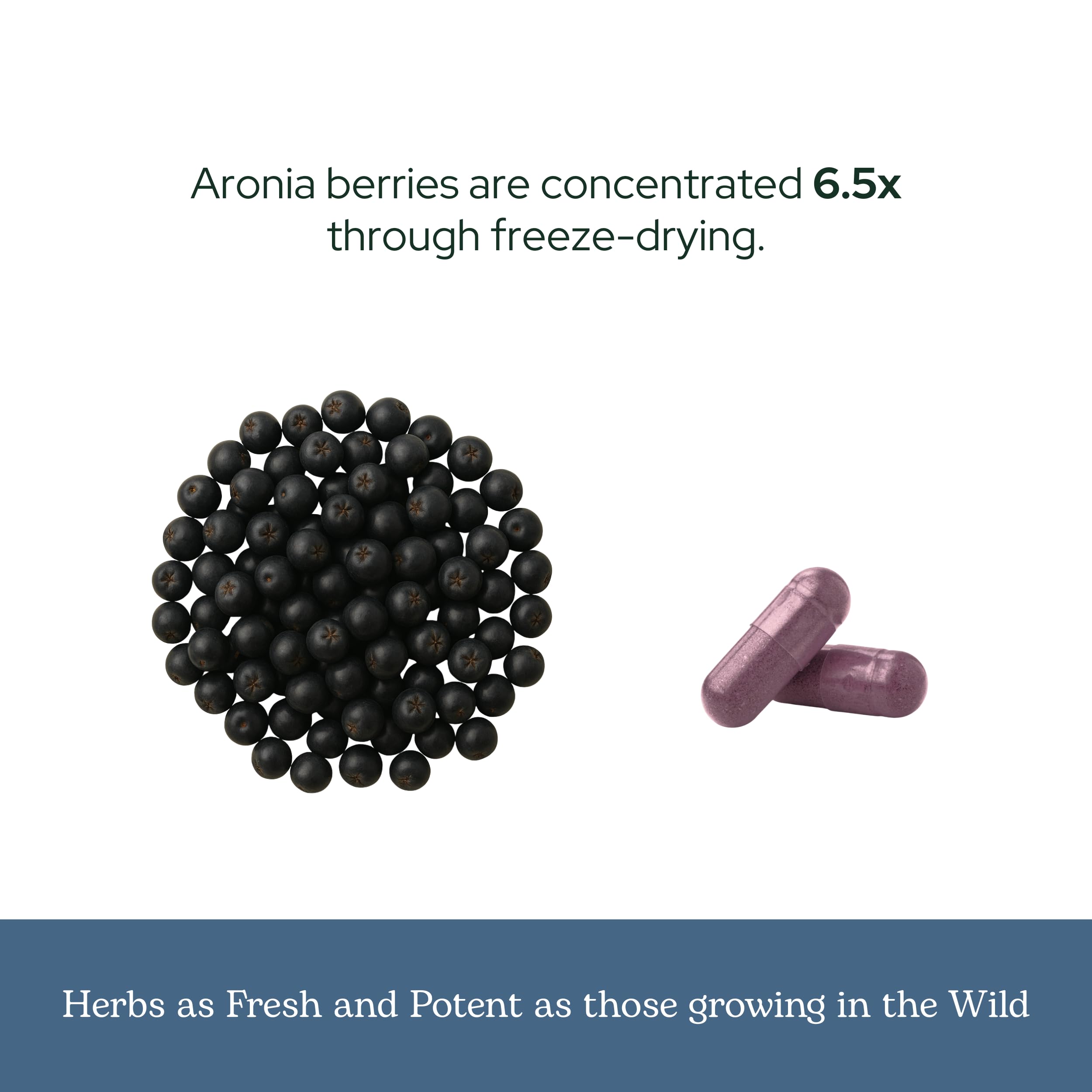 Envase ecológico ECLECTIC INSTITUTE Aronia, compromiso con sostenibilidad