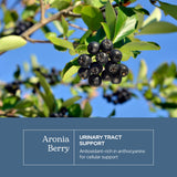Etiqueta ECLECTIC INSTITUTE de aronia, información clara para uso diario