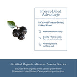 Uso diario de cápsulas de aronia ECLECTIC INSTITUTE para soporte antioxidante