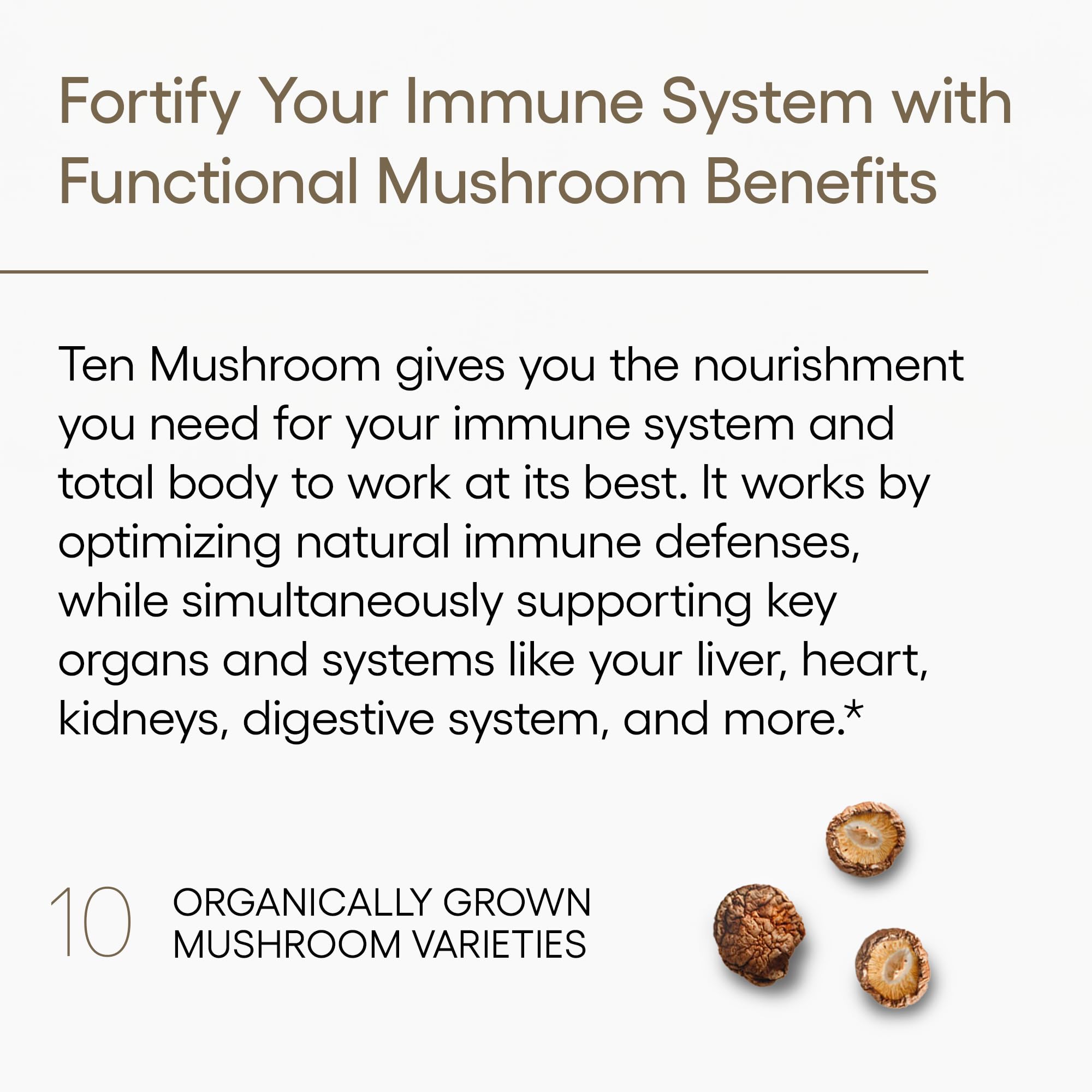 Setas Reishi y Cordyceps en Diez Hongos ofrecen apoyo para energía y resistencia