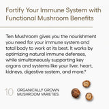 Setas Reishi y Cordyceps en Diez Hongos ofrecen apoyo para energía y resistencia