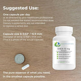 Sin soja: EcoIntegratives DHEA 10 mg micronizado para distintas dietas.