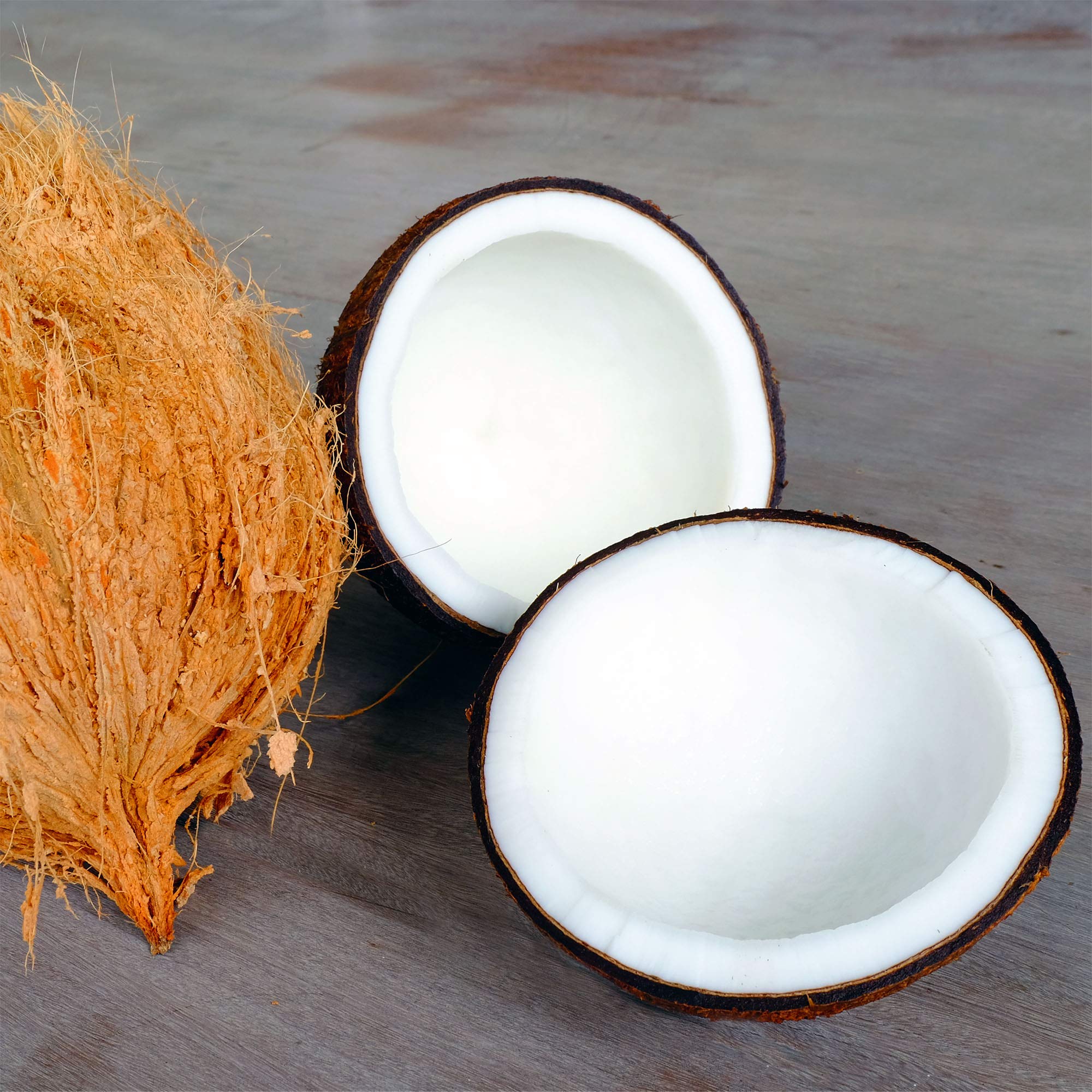 Dos frascos sellados de Monolaurina Ecological Formulas para suministro prolongado.
