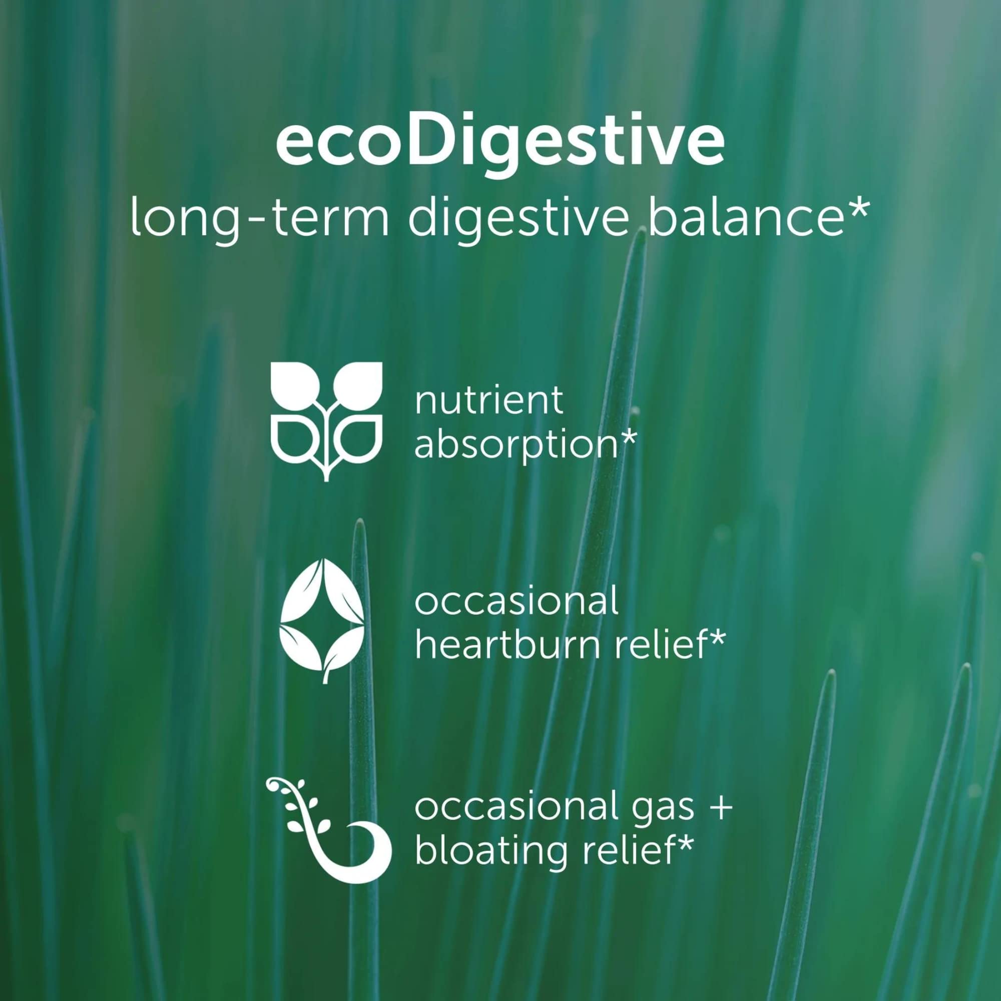 EcoDigest EcoNugenics: ingredientes naturales para digestión suave tras las comidas.