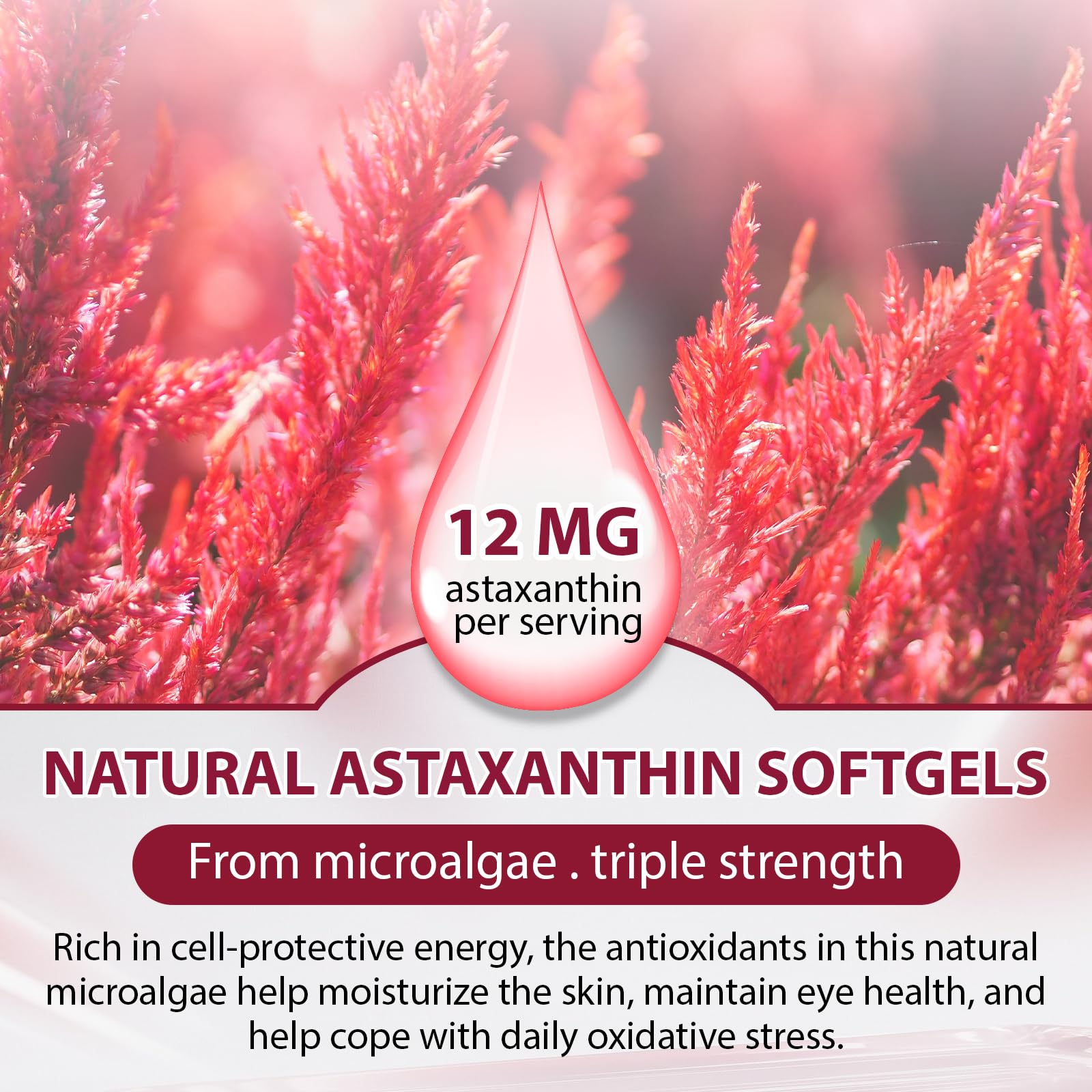 Ecos de la Primavera etiqueta del producto muestra astaxantina natural para bienestar diario.