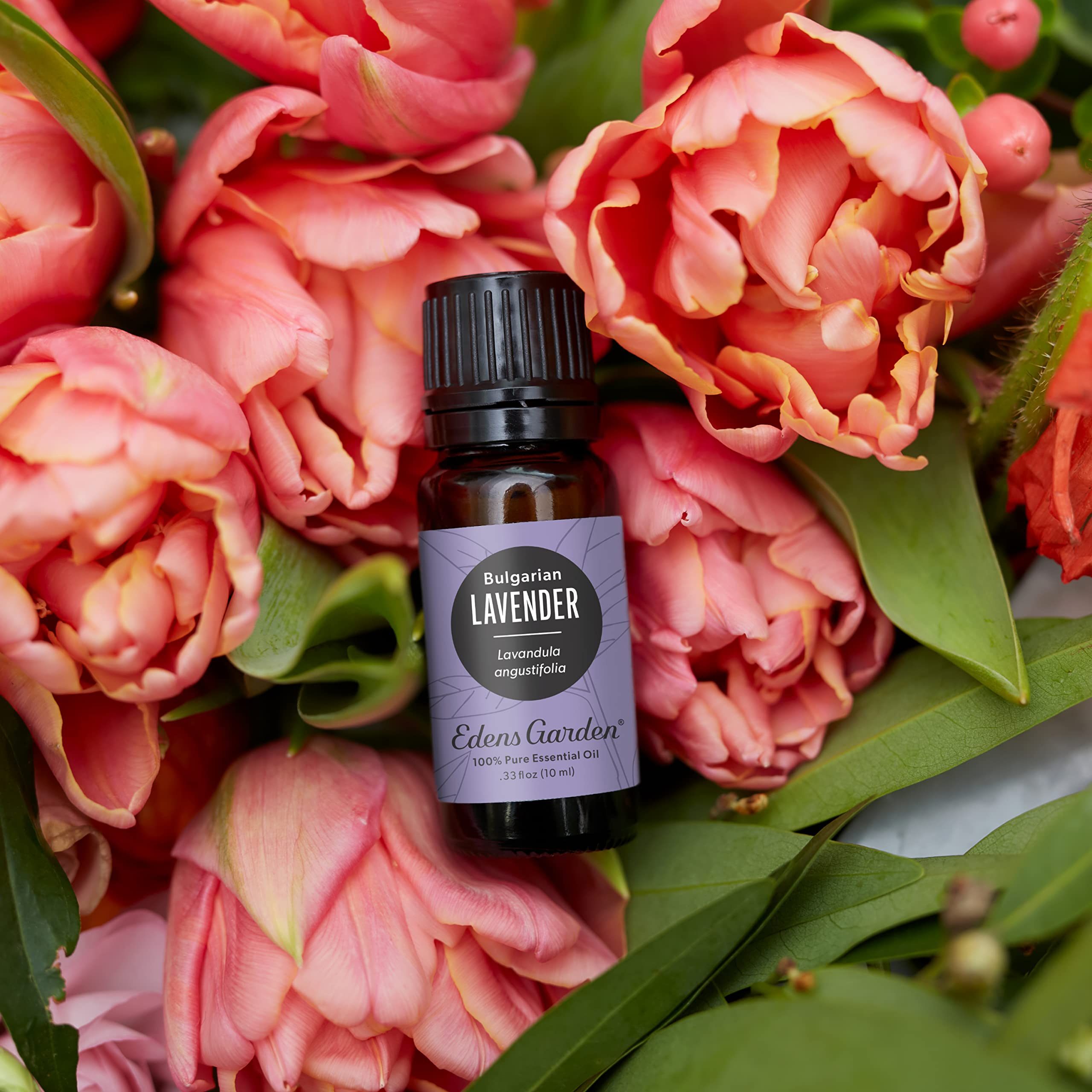 Edens Garden Lavanda Bulgaro difusor crea ambiente tranquilo y relajante.