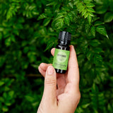 Edens Garden Peppermint Around The World, gotero, facilita aplicación diluida en la piel