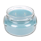 Elanze Designs Limelight vela 3.4 oz; mandarina y lima brillantes para un ambiente fresco.
