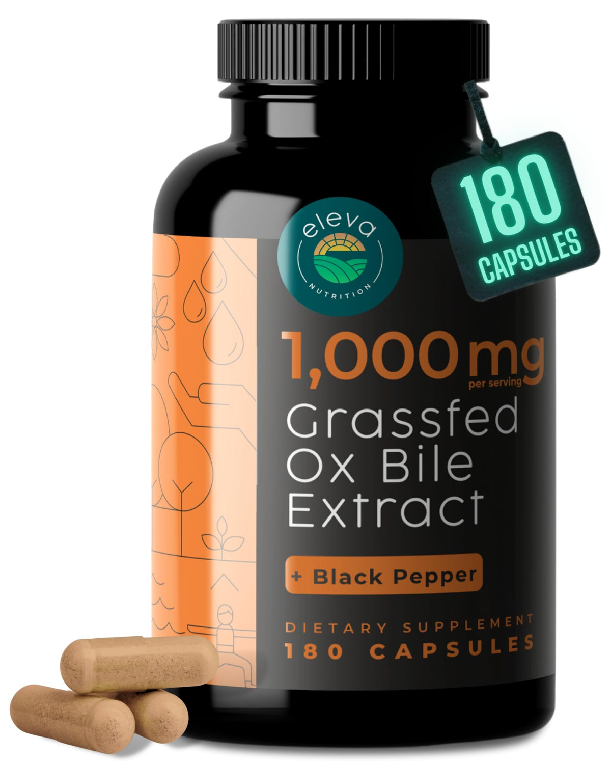 Eleva Nutrition ox bile cápsulas en botella, apoyo digestivo práctico.