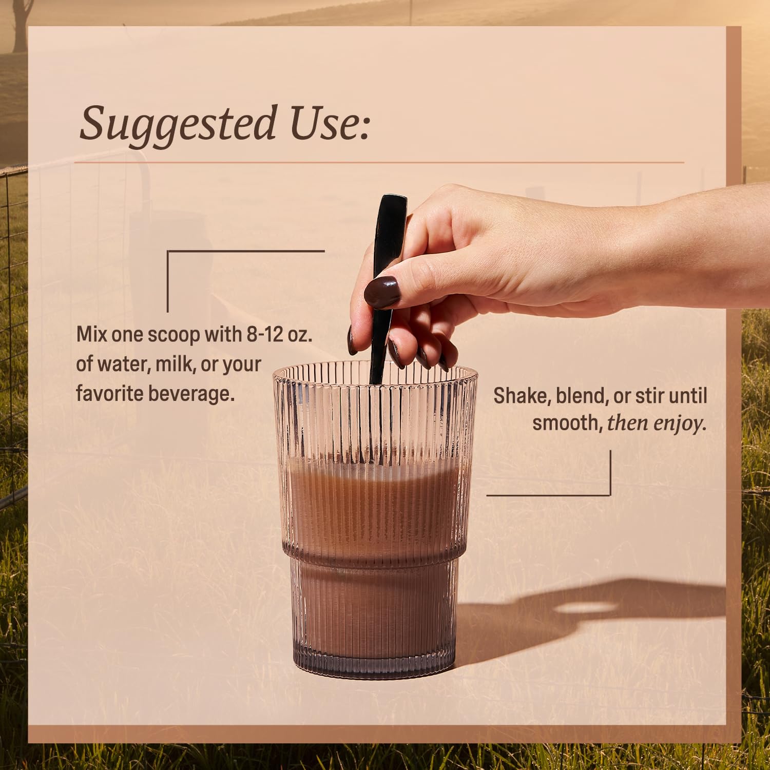 Envase sostenible de Elevate Organic Proteína Mujer Chocolate.