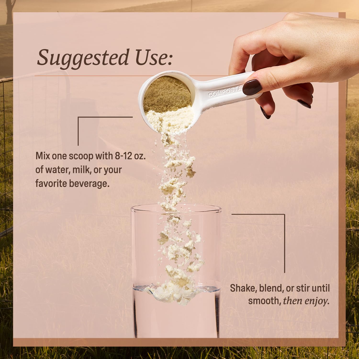 ELEVATE ORGANIC Proteína en polvo versátil para batidos matutinos
