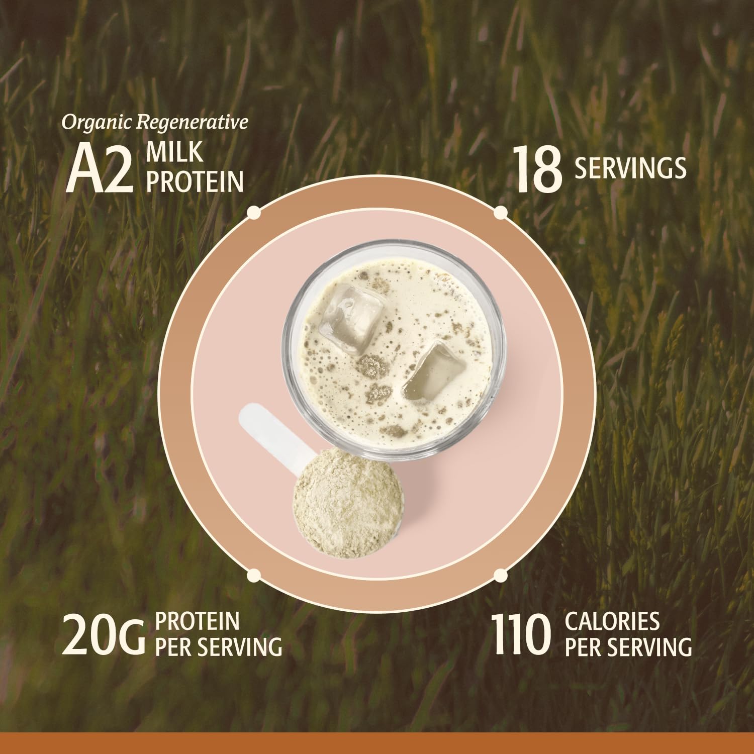 ELEVATE ORGANIC Suero orgánico fermentado con KSM-66 para recuperación diaria