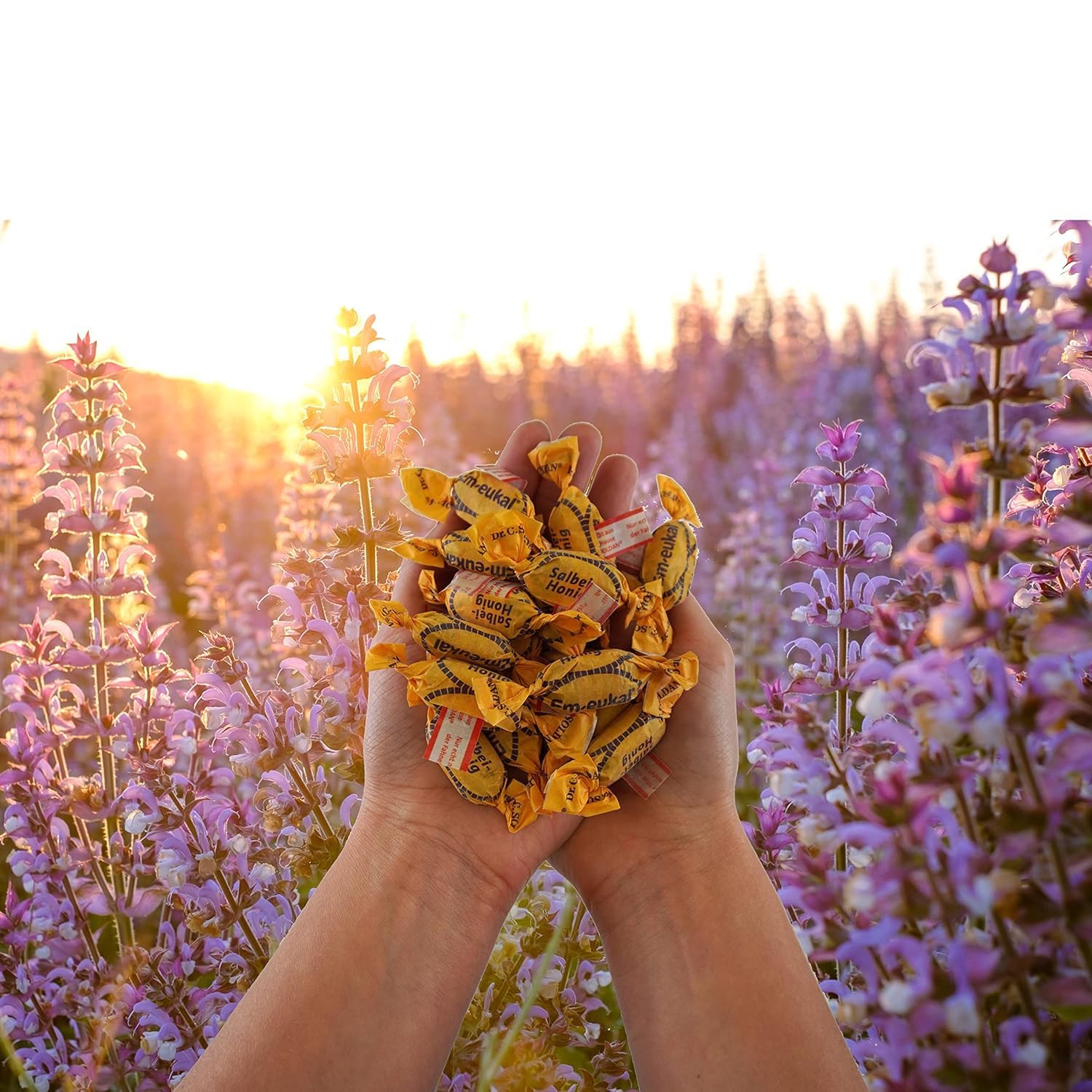 Em-eukal Salvia-Miel azucarado interior: porción de 75 g para llevar