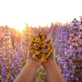 Em-eukal Salvia-Miel azucarado interior: porción de 75 g para llevar