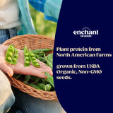 Enchant Proteína Orgánica: proteína de guisante de origen vegetal, sin lácteos.