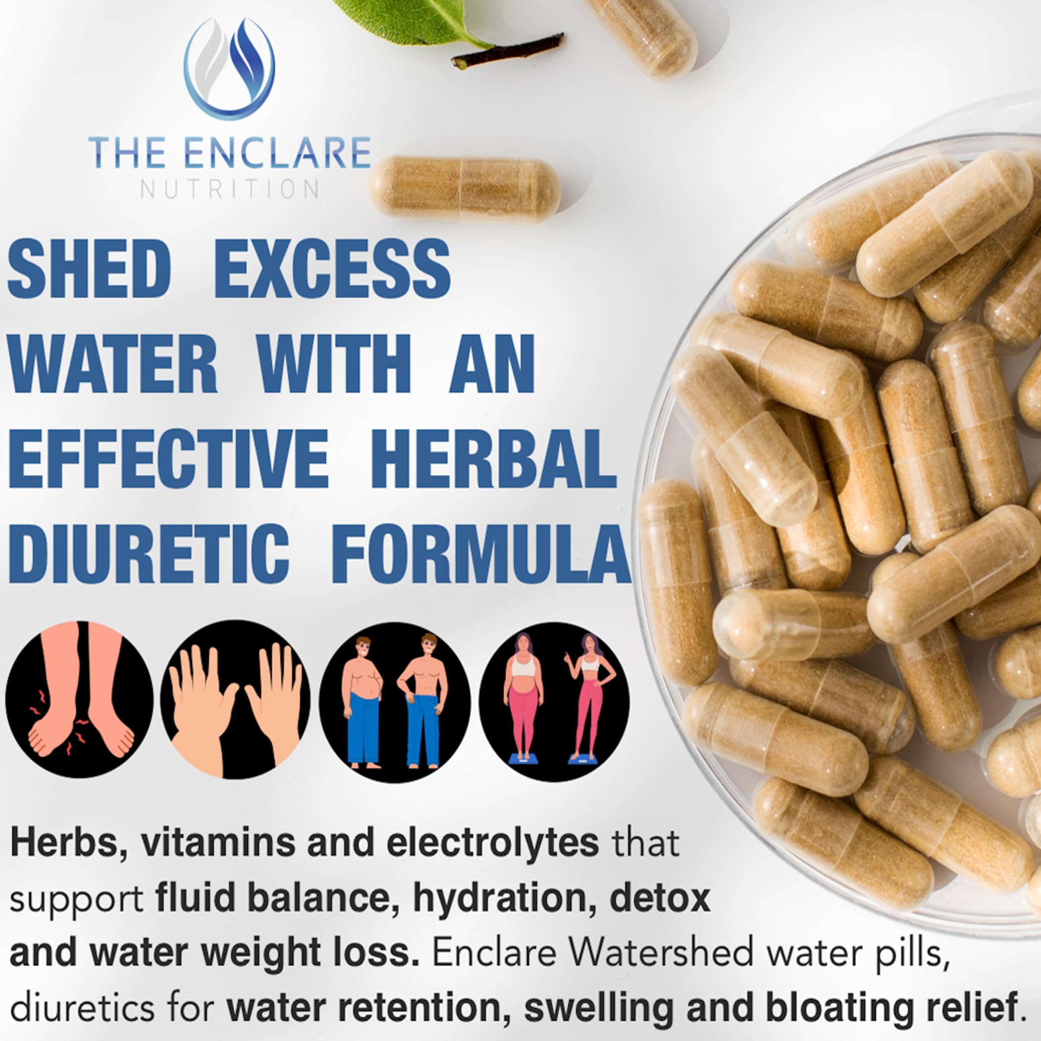 THE ENCLARE NUTRITION Watershed: composición herbal segura para hidratación y equilibrio.