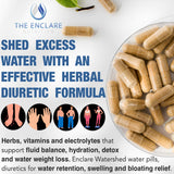 THE ENCLARE NUTRITION Watershed: composición herbal segura para hidratación y equilibrio.
