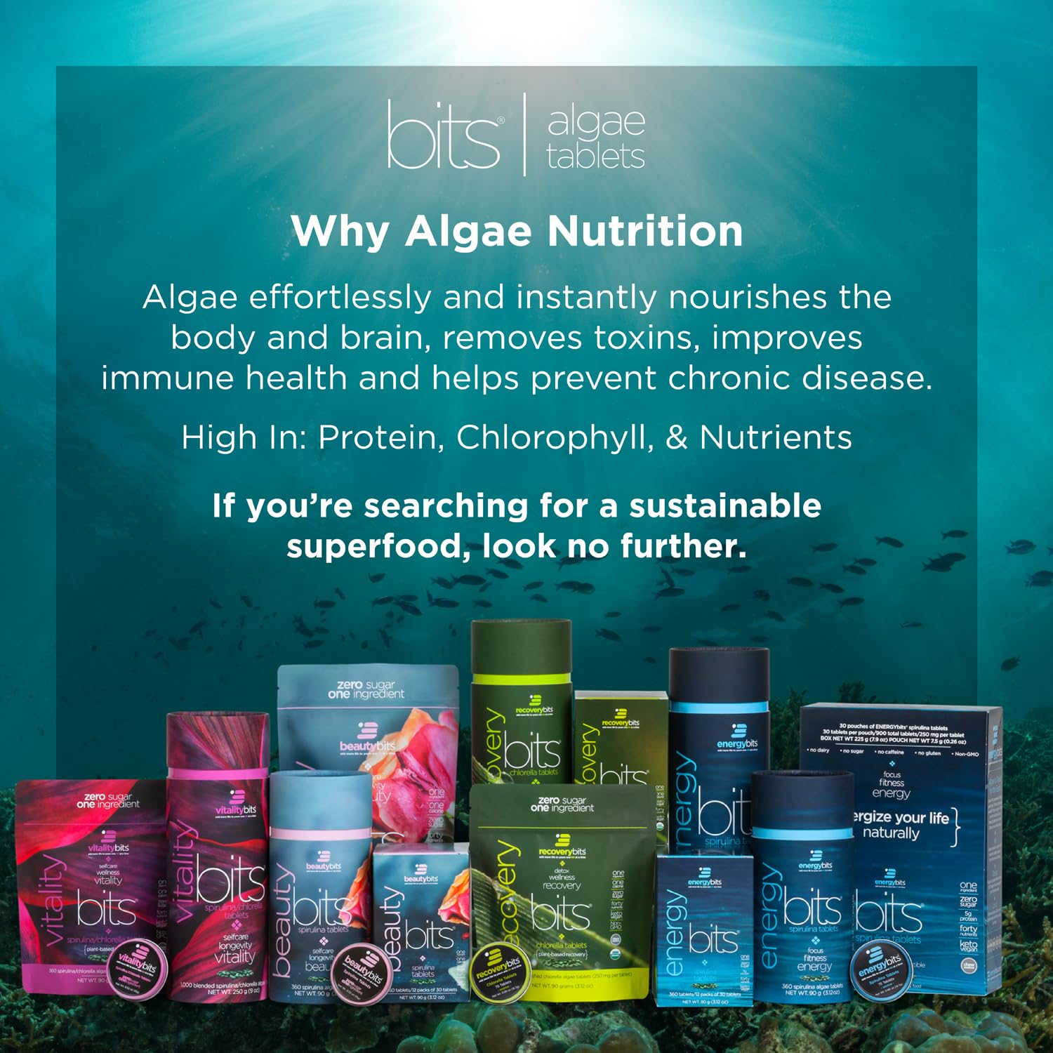 ENERGYBITS: detalle de proteína vegetal y nutrientes clave.