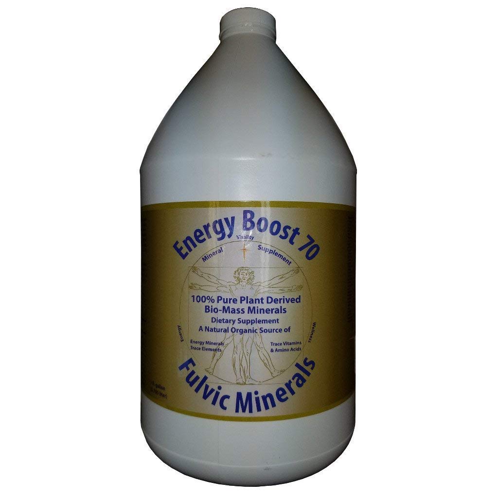 Energy Boost 70: botella para vertido, apoyo a la energía natural para el día a día