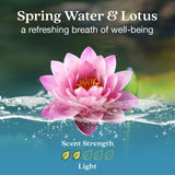 Recambio Scent Stix Spring Water & Lotus para aroma continuo.