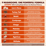 EnvyCure gominolas con chaga para bienestar y antioxidantes