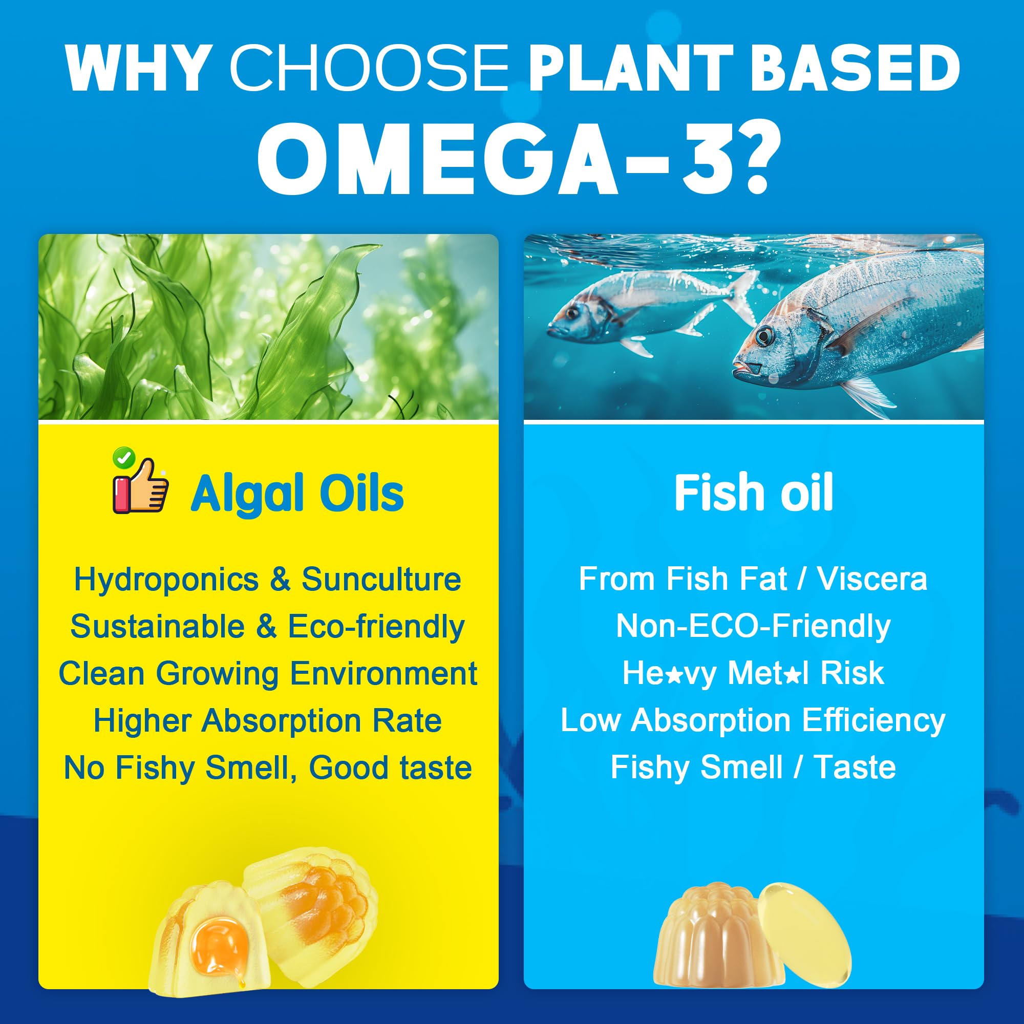 EnvyCure gomas omega-3 en botella abierta, listo para consumir.