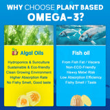 EnvyCure gomas omega-3 en botella abierta, listo para consumir.
