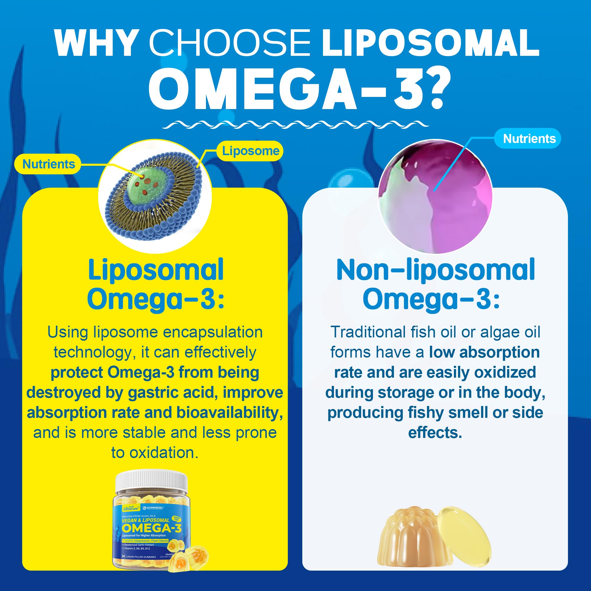 EnvyCure gomas veganas omega-3 en mano, toma diaria fácil de usar.