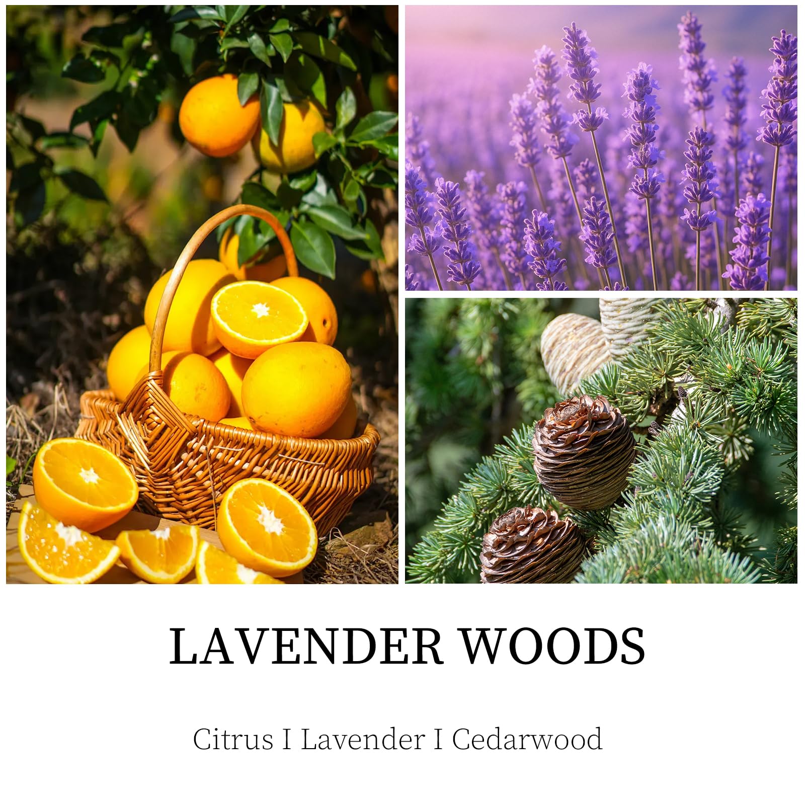 Enwhisco Vela Lavanda Bosque, duración de cincuenta horas para largas lecturas.
