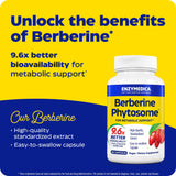 Etiqueta del producto Enzymedica Berberine Phytosome ofrece claridad sobre uso y beneficios.