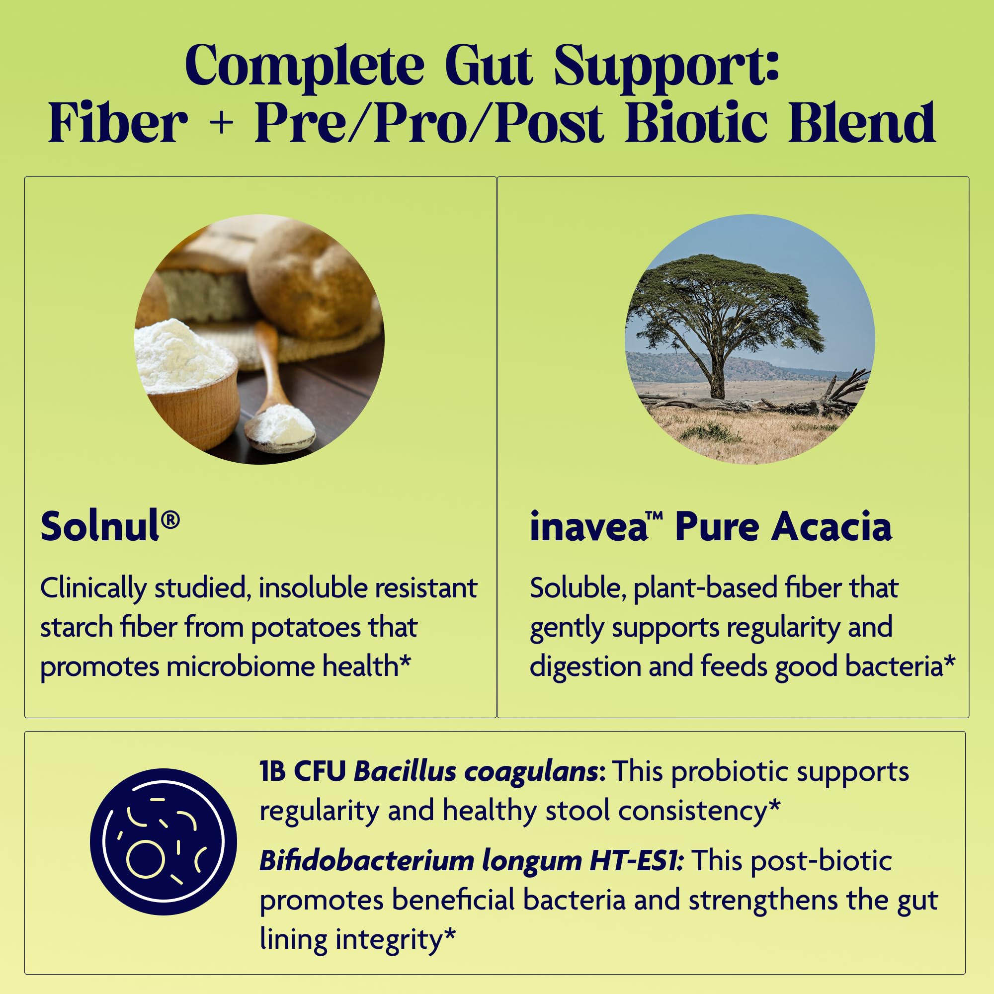 Enzymedica Lets Go Fiber, disolución en agua, absorción rápida.