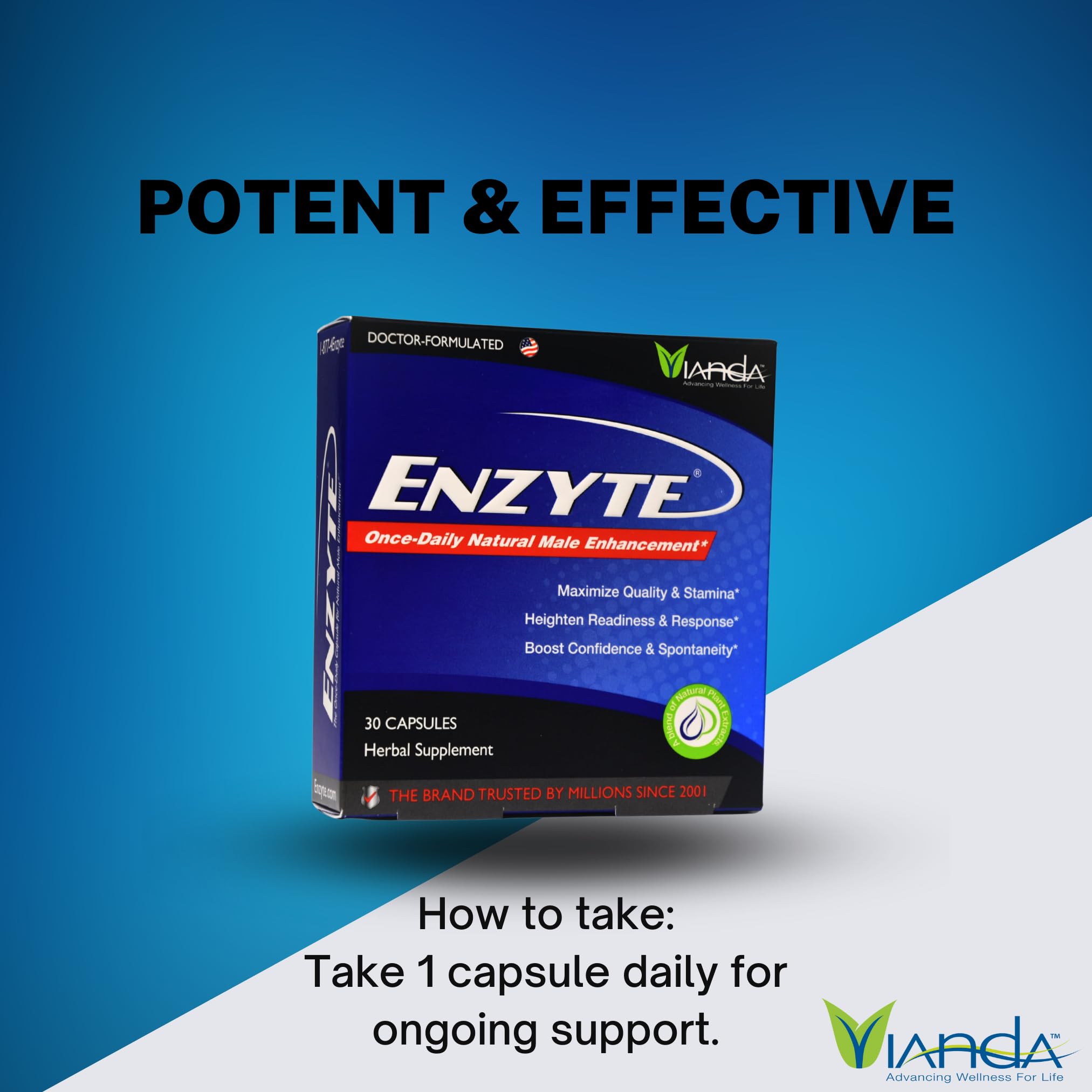 Ginkgo biloba en Enzyte MRC, apoyo para concentración y energía sostenida.