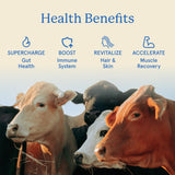Gomitas Equip Foods Core con textura suave para morder fácilmente