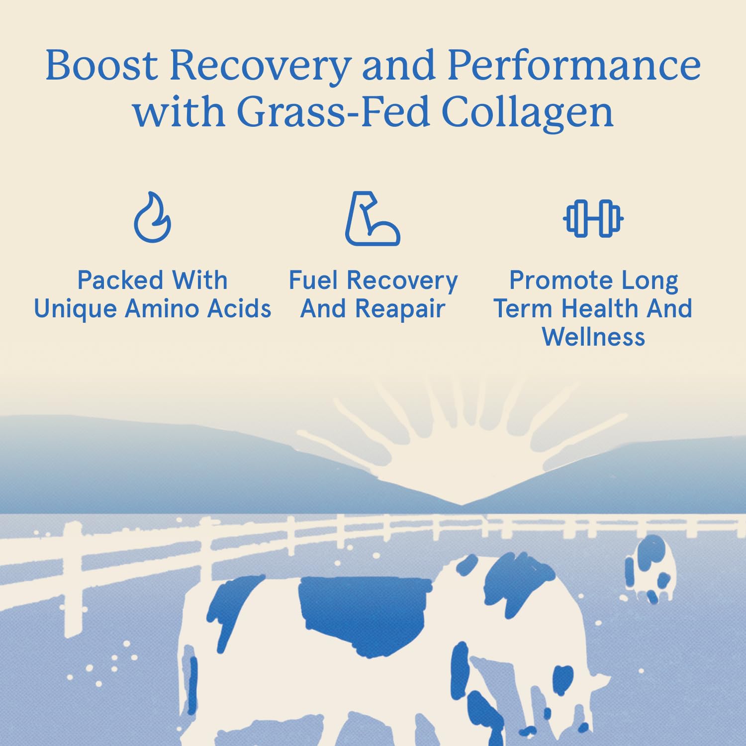 Equip Grass-Fed Collagen Powder packaging — non-GMO and Paleo-friendly label.