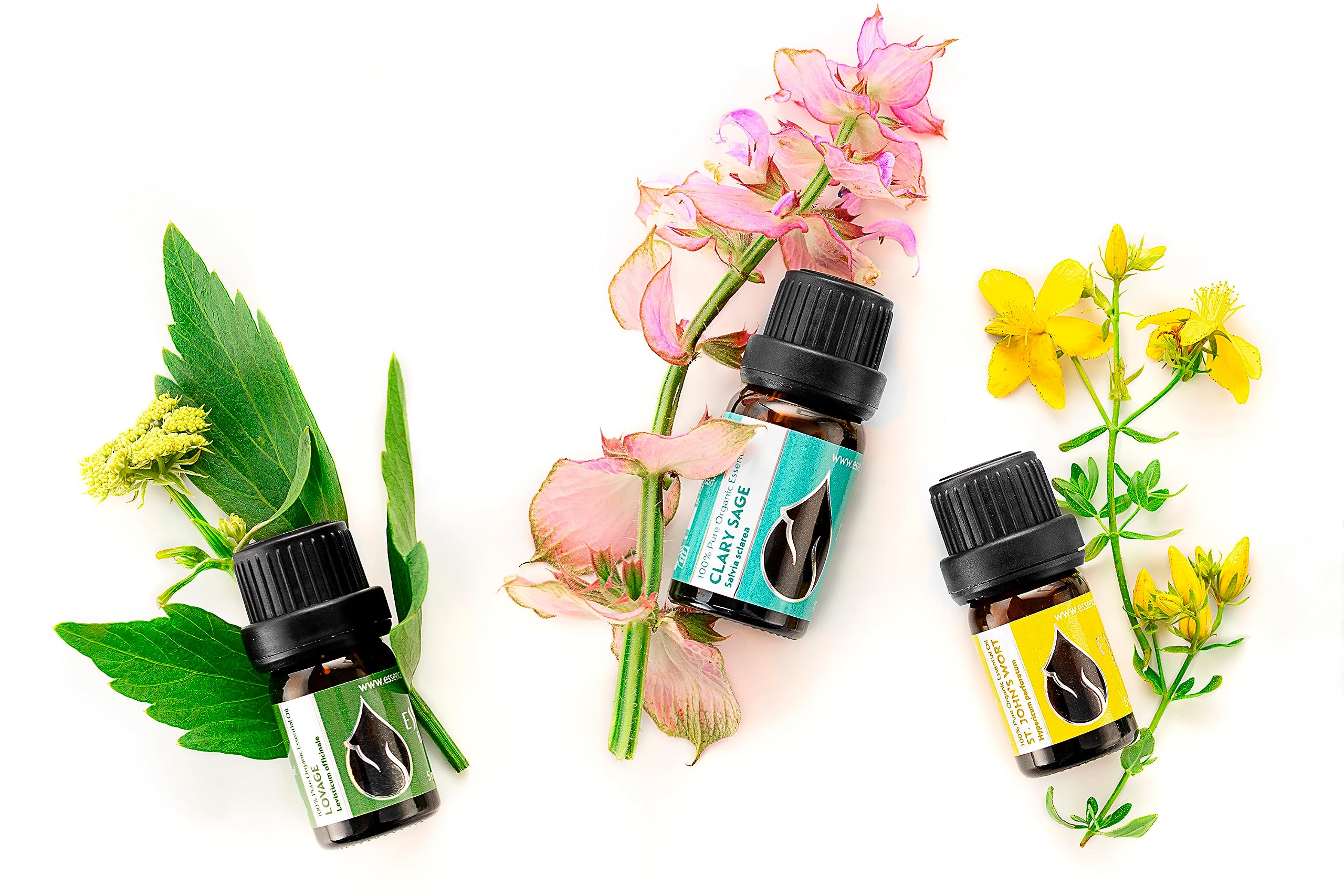 Essences Bulgaria Aceite Salvia sclarea premium para uso hogareño