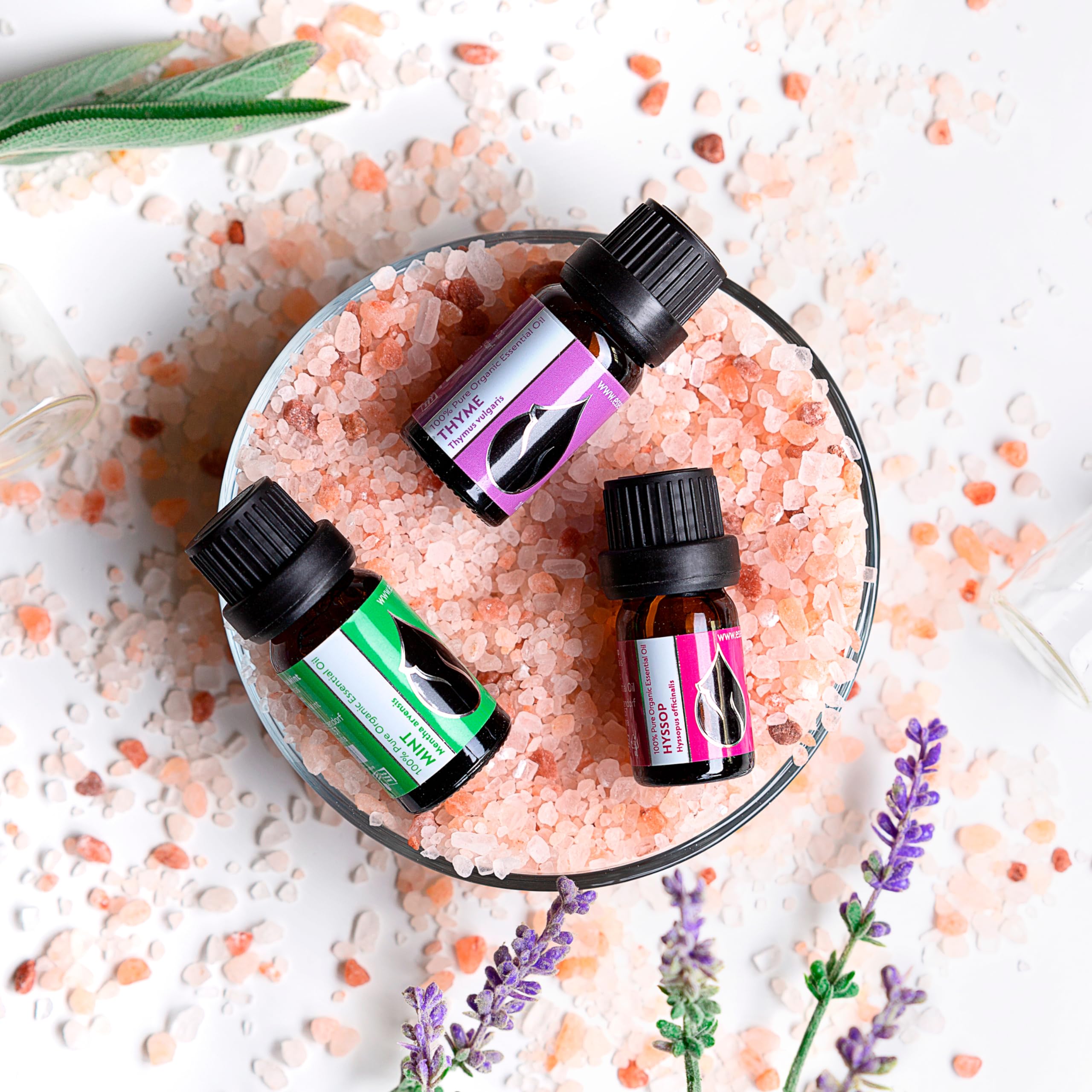 Essences Bulgaria Menta Arvensis aroma fresco para ambientes revitalizantes.
