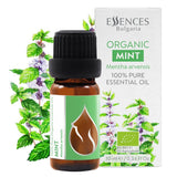 Essences Bulgaria Menta Arvensis frasco de 10 ml para aromaterapia fresca.