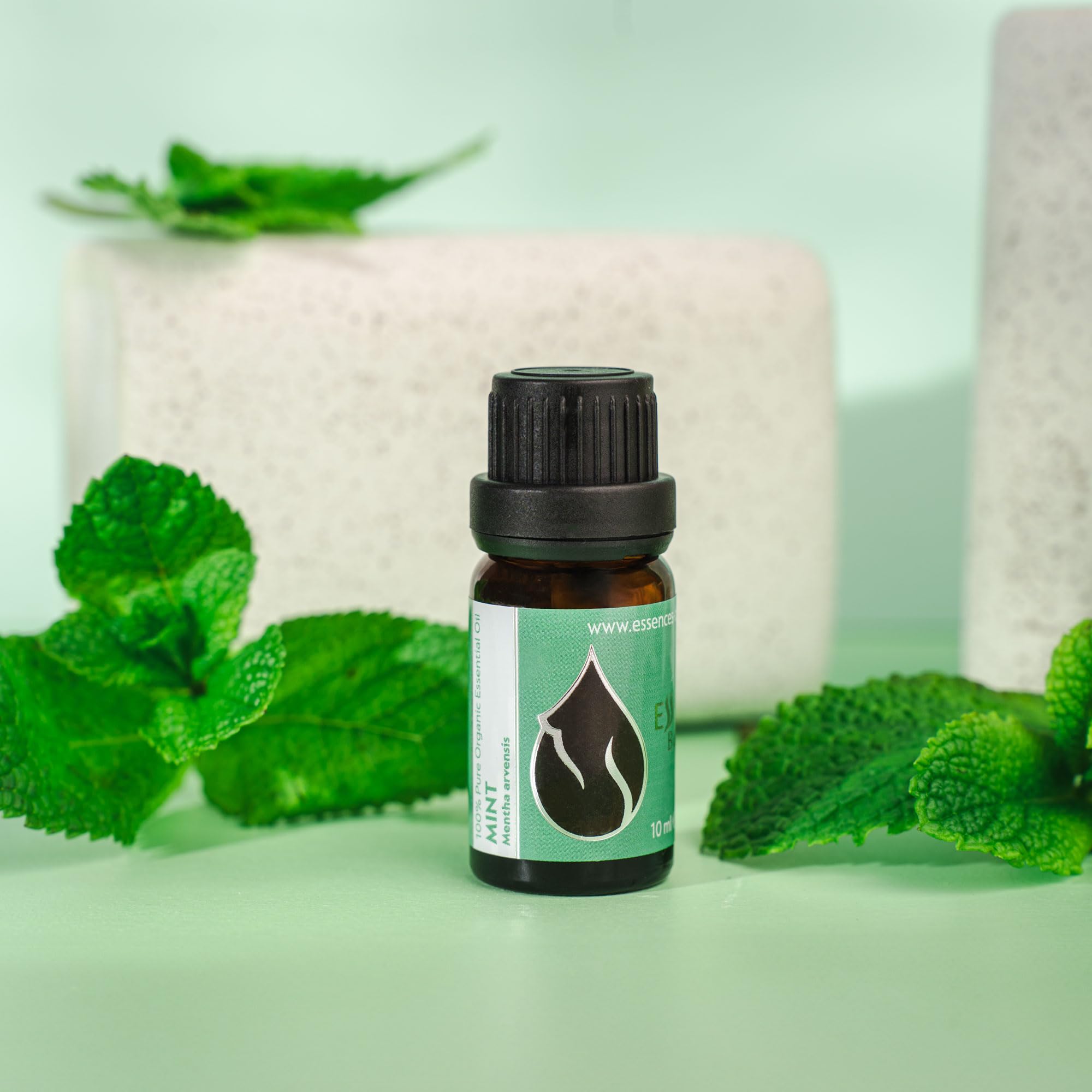 Essences Bulgaria Menta Arvensis proceso de producción cuida cada etapa.