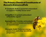 Empaque de Dr Ohhira's Propolis Plus mostrando la caja y cápsulas.