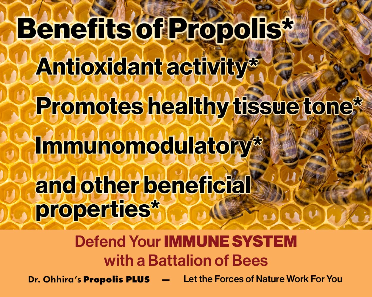 Essential Formulas Propóleo Plus: probiótico en polvo para salud intestinal.
