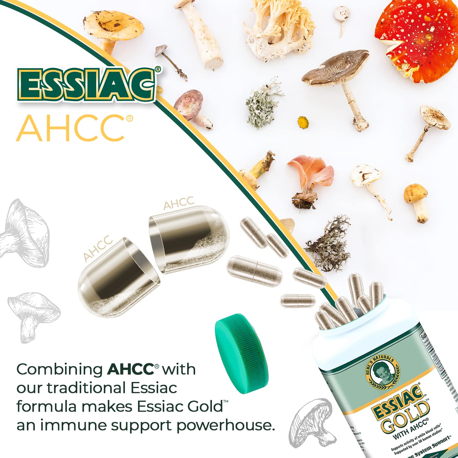 Essiac Gold y entorno natural que sugiere cuidado botánico.
