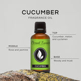 Eternal Essence Oils Pepino: cuentagotas para dosificar fragancia en proyectos de bricolaje