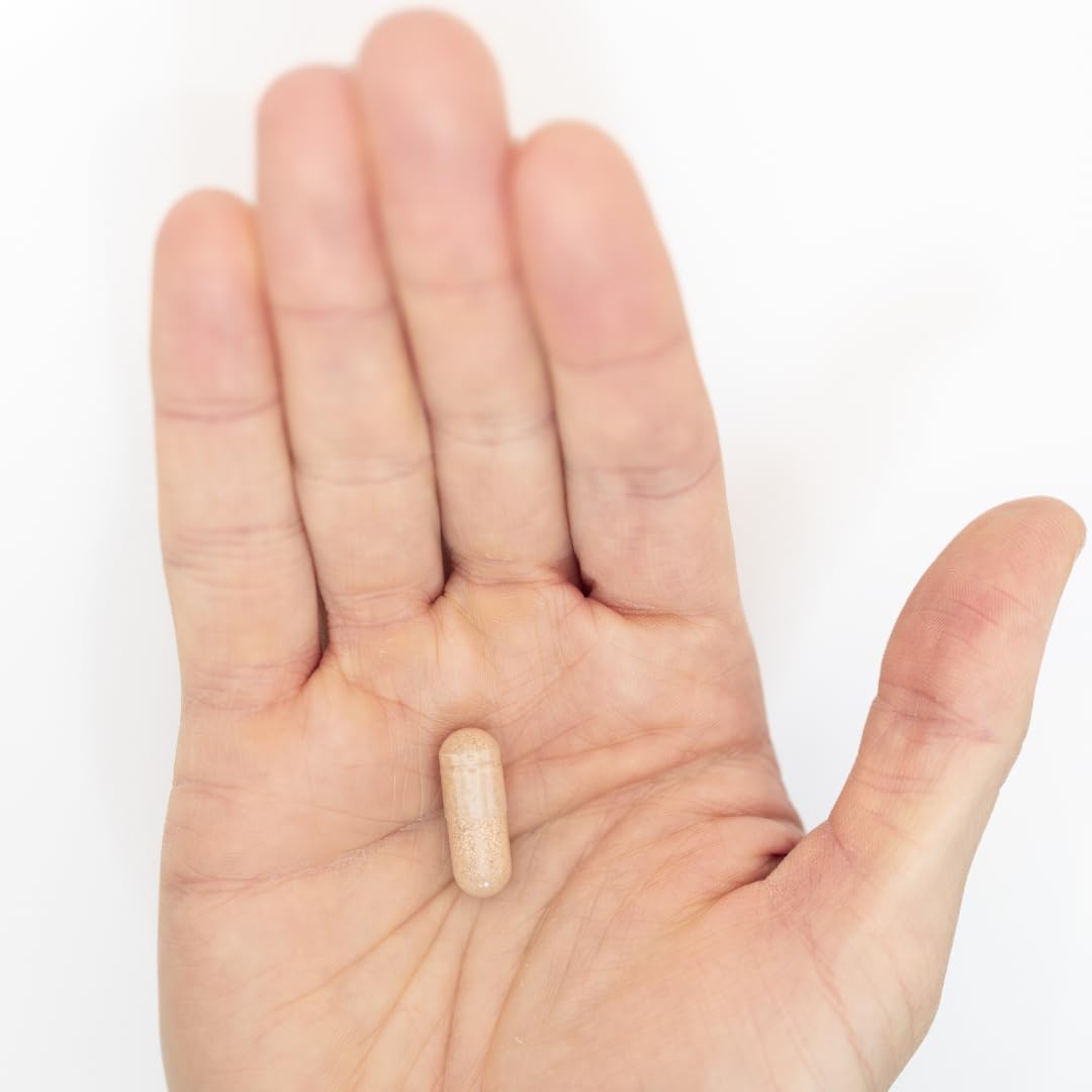 Ethlete NAD+ potencia el foco para tareas diarias