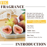EUQEE Aceite fragancia higo, difusor, aroma suave para espacios.