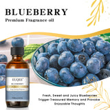EUQEE difusor aroma arándano perfuma el hogar