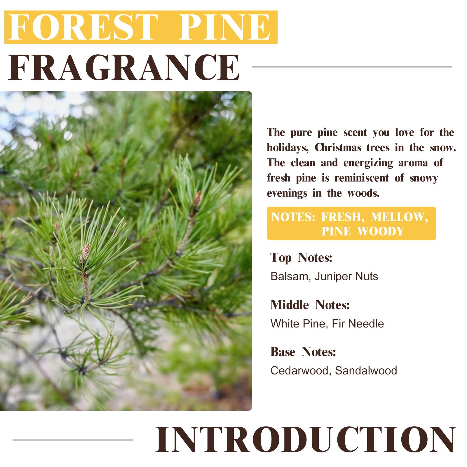 EUQEE Forest Pine difusor aromático para espacios pequeños y grandes
