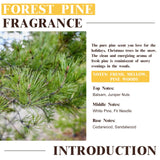 EUQEE Forest Pine difusor aromático para espacios pequeños y grandes